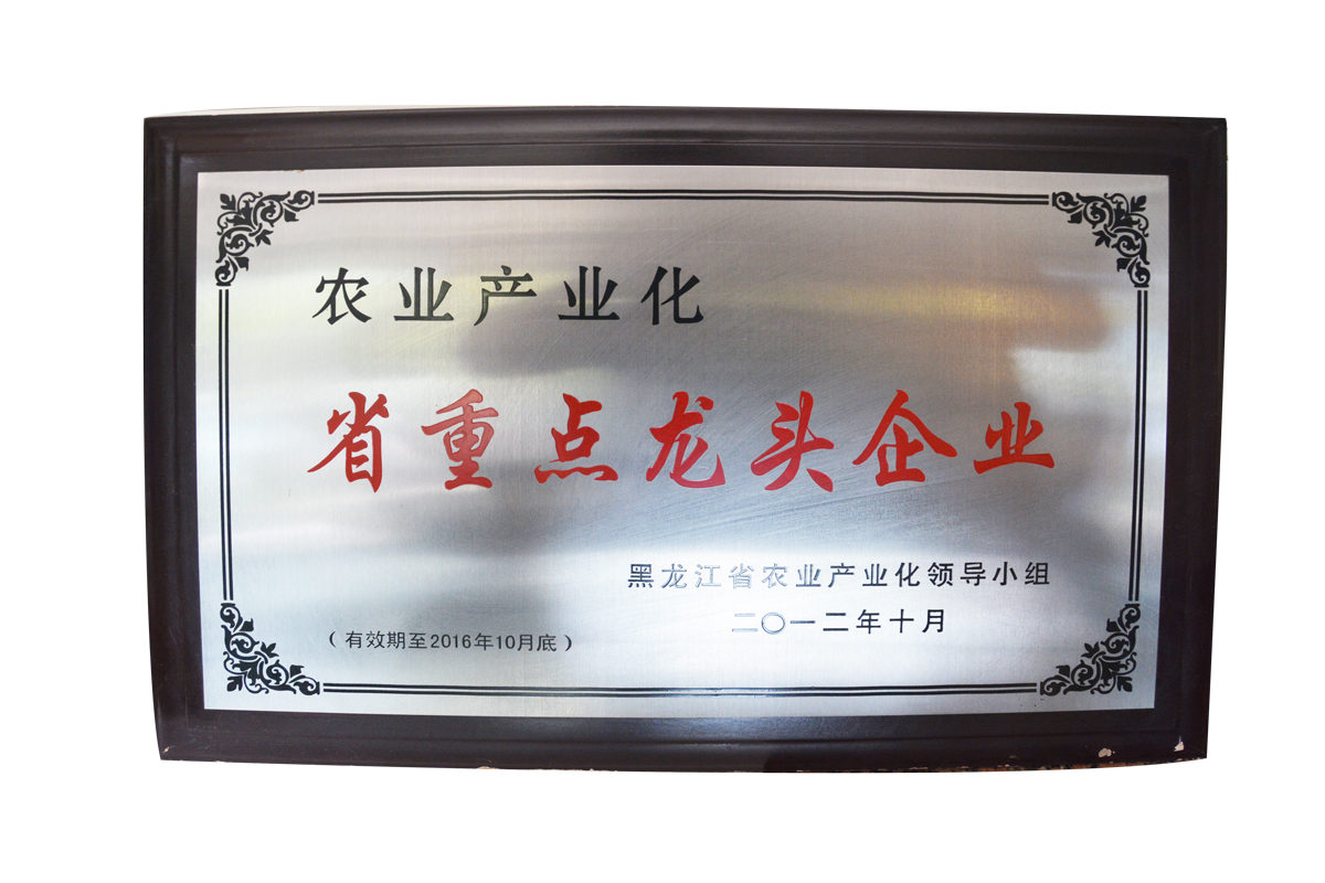 重點龍.頭企業(yè)